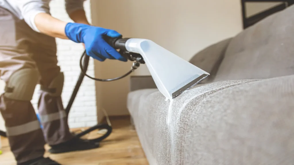 Professional upholstery cleaner refreshing a fabric sofa in a Tauranga home — At Your Service, expert furniture and upholstery cleaning company in NZ.