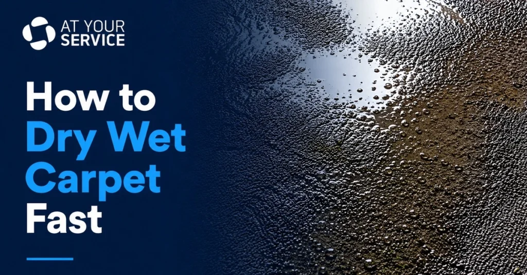 how to dry wet carpet