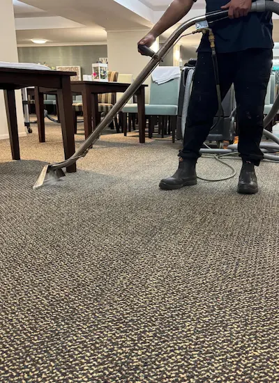 Trained staff performing carpet cleaning tauranga by At Your Service