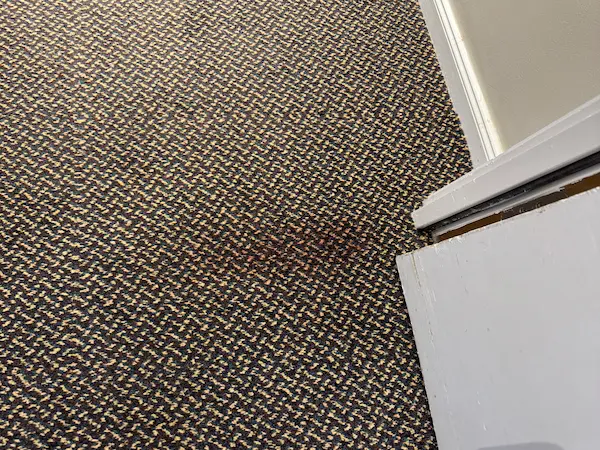 Carpet stain removal service treating food, drink, mud and pet stains on residential carpets in Tauranga.