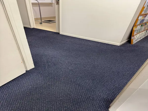 Professional deep carpet cleaning removing built-up dirt, dust and soil from carpet fibres in a Tauranga home.