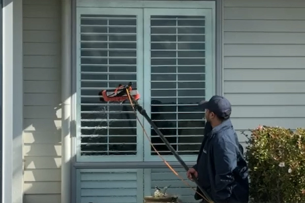 Exterior home window cleaning in Tauranga using pure water for a streak-free finish