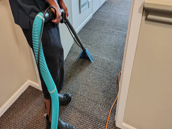 Move-out and rental carpet cleaning service in Tauranga for tenants, landlords and property managers before inspections.